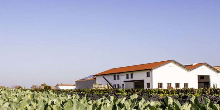 azienda agricola valorizza business essiccatori tauro